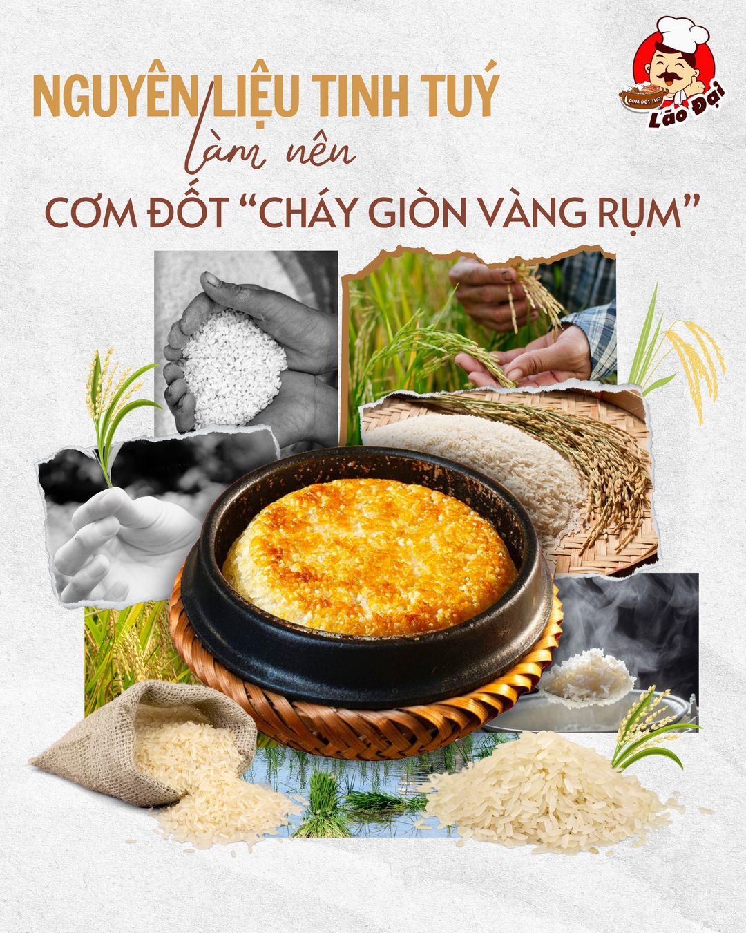 Cơm Đốt Thố Lão Đại gạo Việt Nam đặc sản Hà Nội
